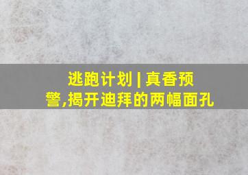 逃跑计划 | 真香预警,揭开迪拜的两幅面孔